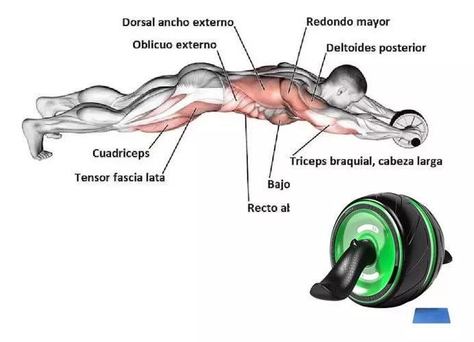 Rueda Ejercicios Abdominales Colchoneta